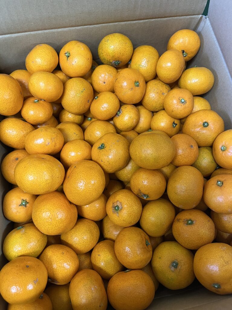 えっ？！　そのまま？