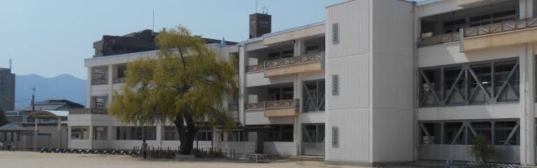 最近の小学校教育「自由進度学習」