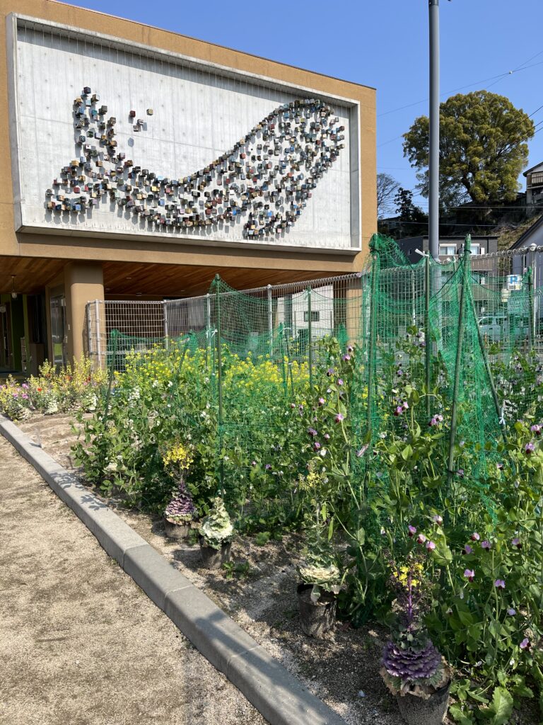 ぐんぐん成長中🌱