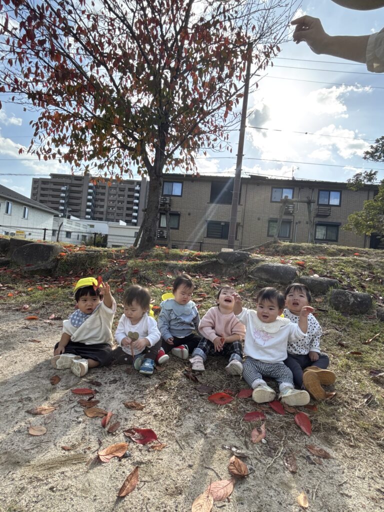 どんぐりみーつけた🍂