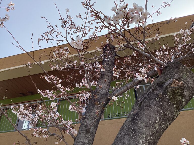 2026年4月1日進級のつどい。