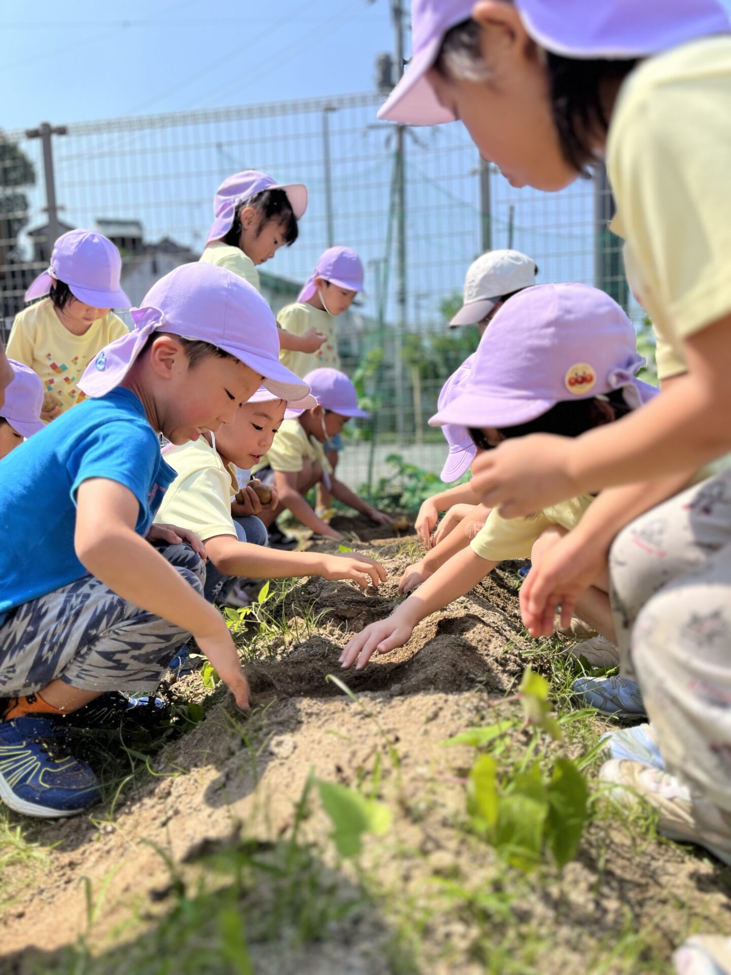 おもしろいことなんでもくじら級