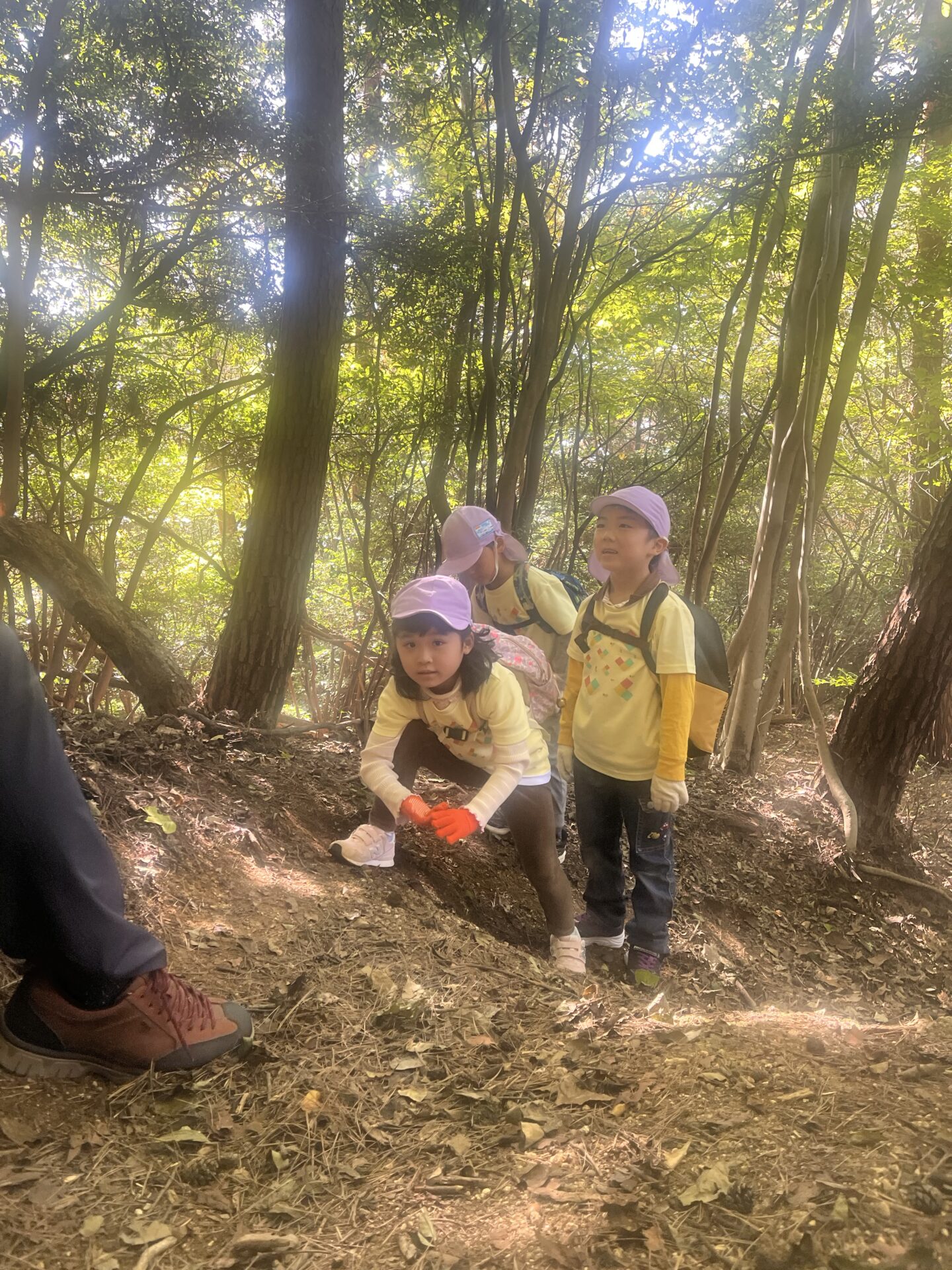 おもしろいことなんでもくじら級