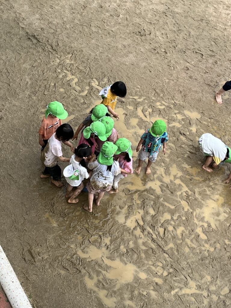 台風一過晴天、どろんこ日和