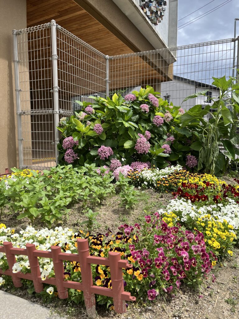 花ざかり