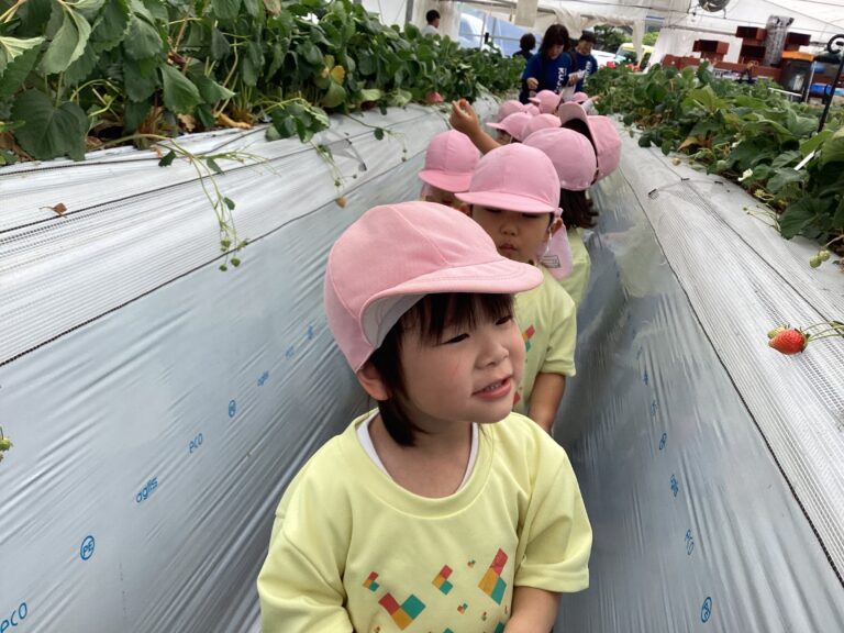 いちご狩りに行きました🍓