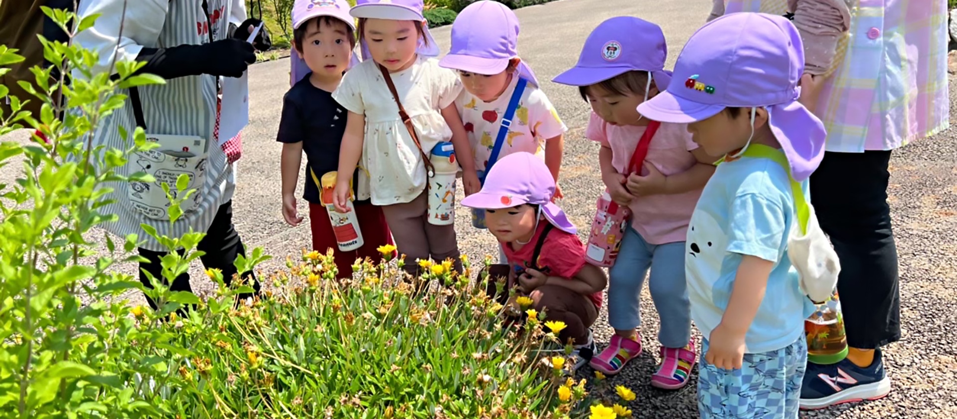 おもしろいことなんでもくじら級