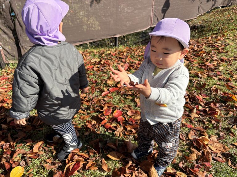 保護中: 秋のお散歩に出かけよう👟🍂（1歳児🐬）