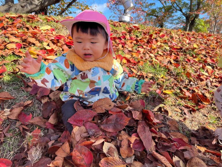 保護中: 落ち葉がヒラヒラ🍂(0歳児🦦)