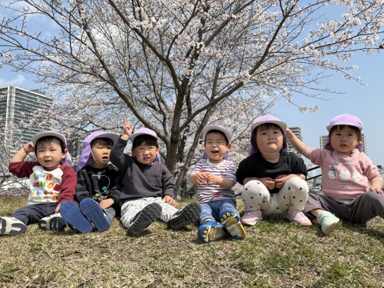 保護中: 満開の桜を咲かせよう🌸（２歳児🐳）