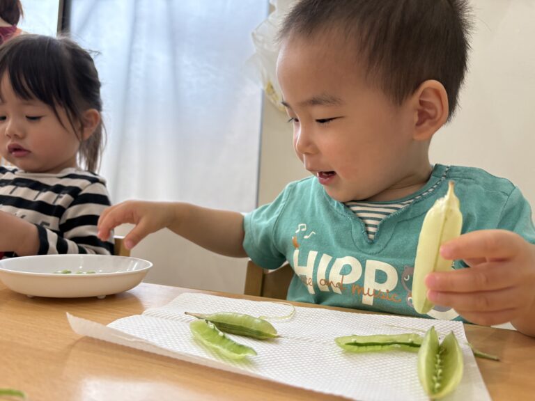 保護中: えんどう豆の皮むき体験をしました🫛（2歳児🐳）