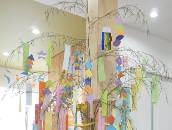 ささの葉さらさら〜🎋