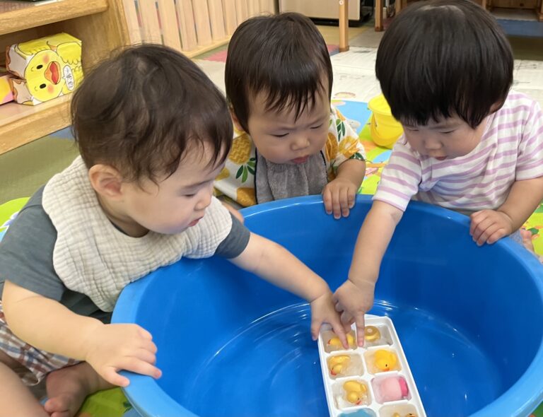 保護中: つめたいね🧊(0歳児🦦)