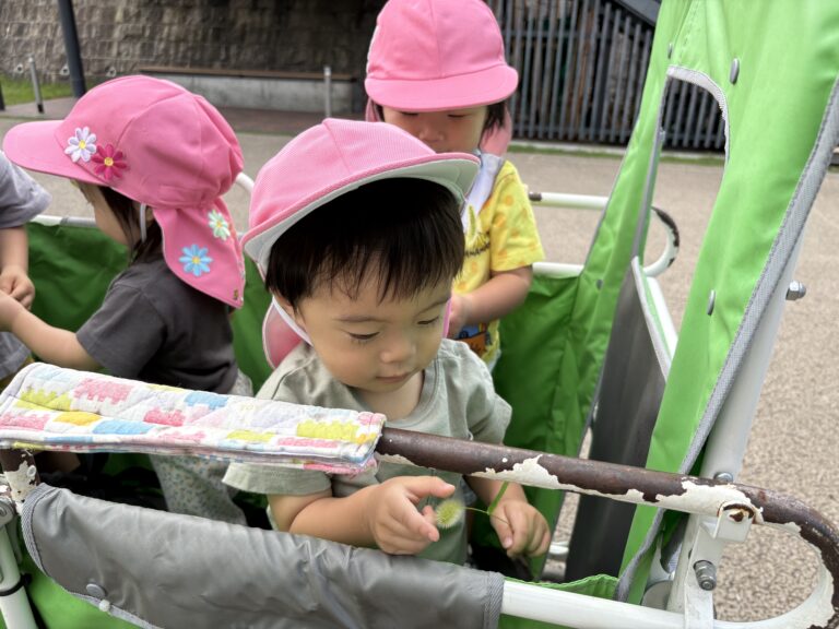保護中: 久しぶりのお散歩🌿