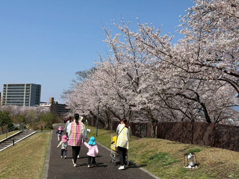 保護中: <strong>一年間よろしくお願いいたします🌸</strong>