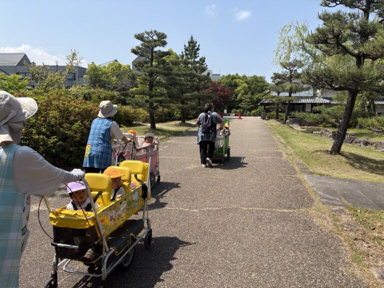 保護中: お散歩に出かけよう❗️👣（1歳児🐬）