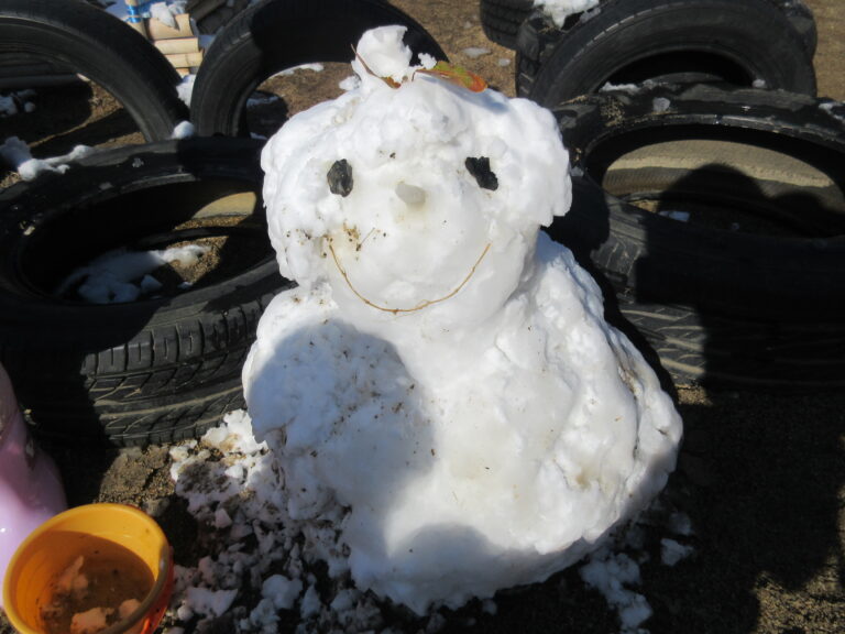びっくり！雪が積もった！！