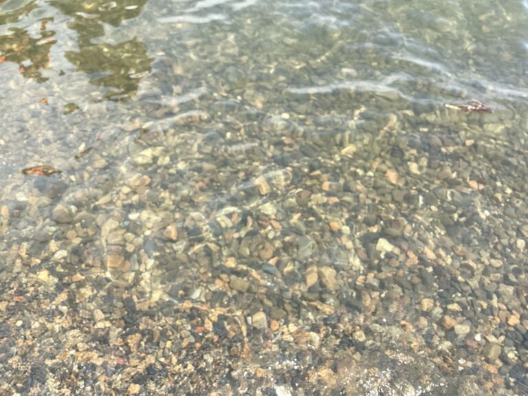 琵琶湖遊び！！