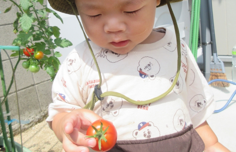 まんぼう小規模保育園が大切にしていること