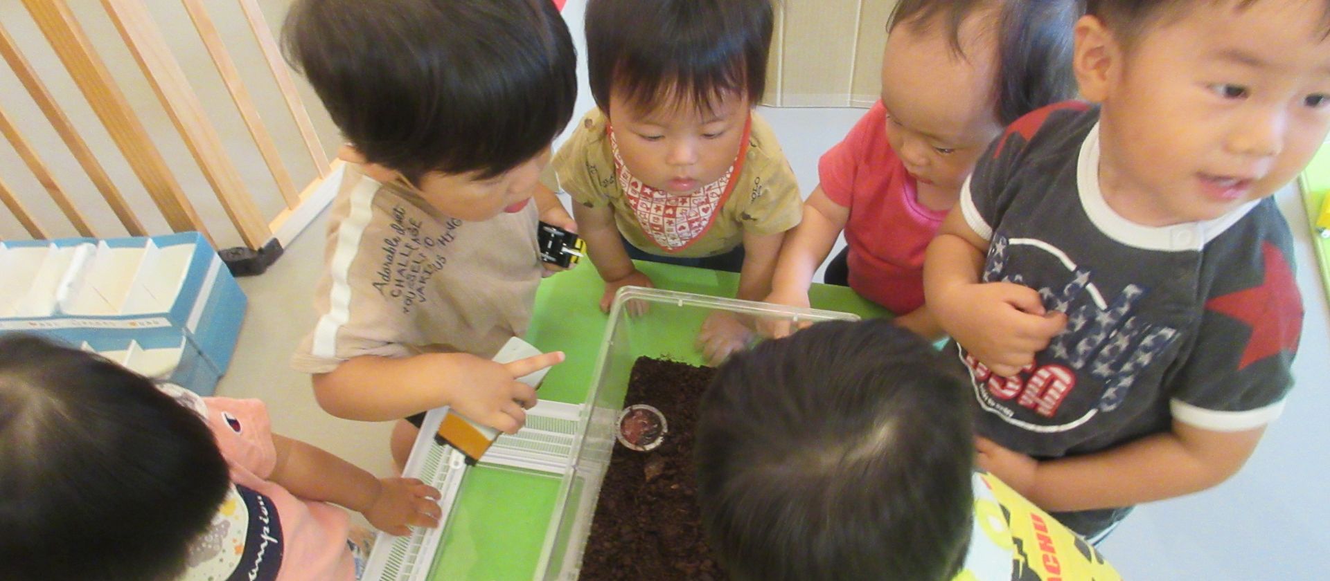 おもしろいことなんでもくじら級