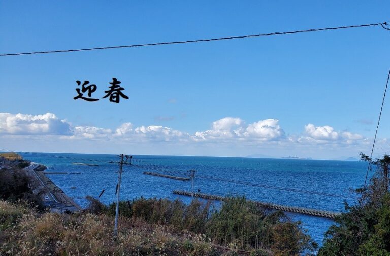 🎍あけまして　おめでとうございます🎍