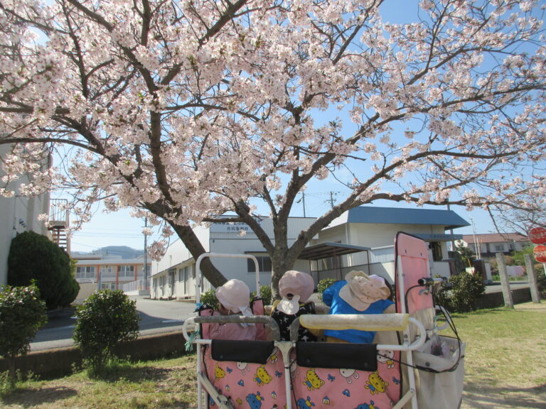 🌸さくら、さくら🌸