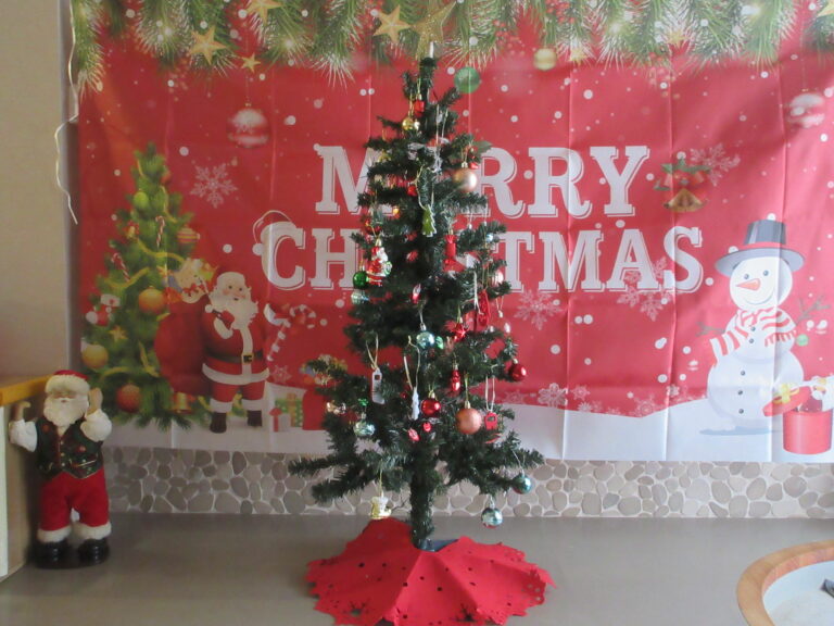 🎄クリスマスツリーを飾ったよ🎄