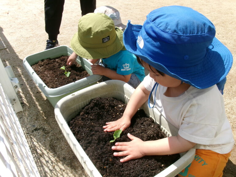 マクワウリも植えたよ！！