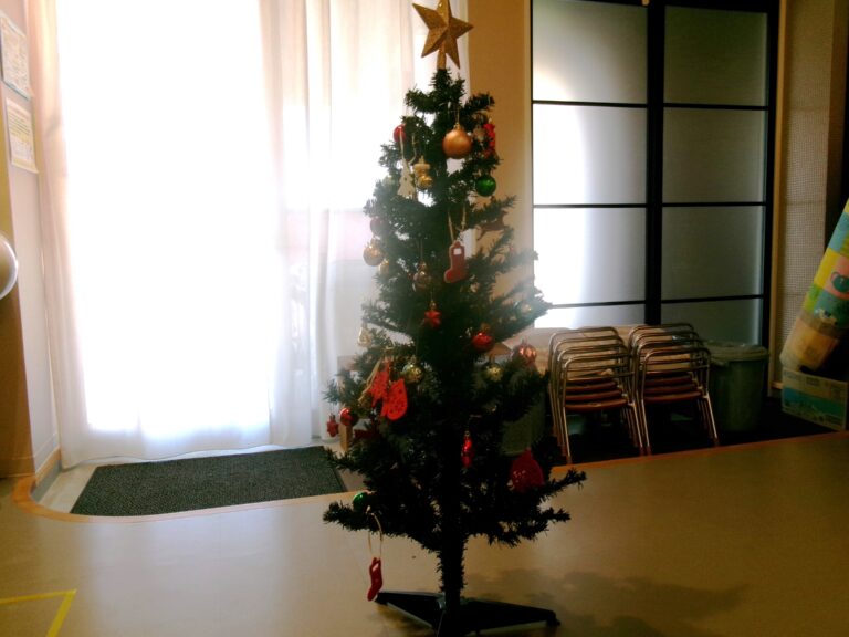 クリスマスツリーを出したよ🎄