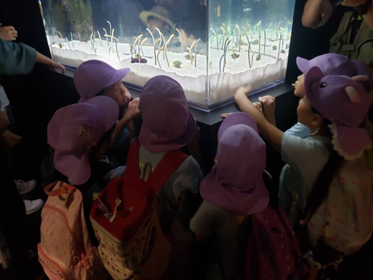 5歳児くじらチーム「夕焼け保育、電車でLet’s go!」①