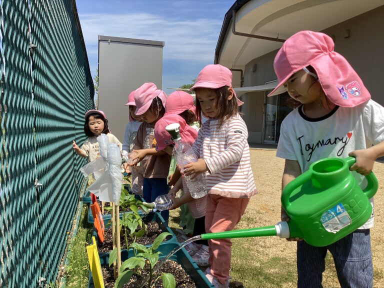 3、4、5歳児「夏野菜を育てよう!」