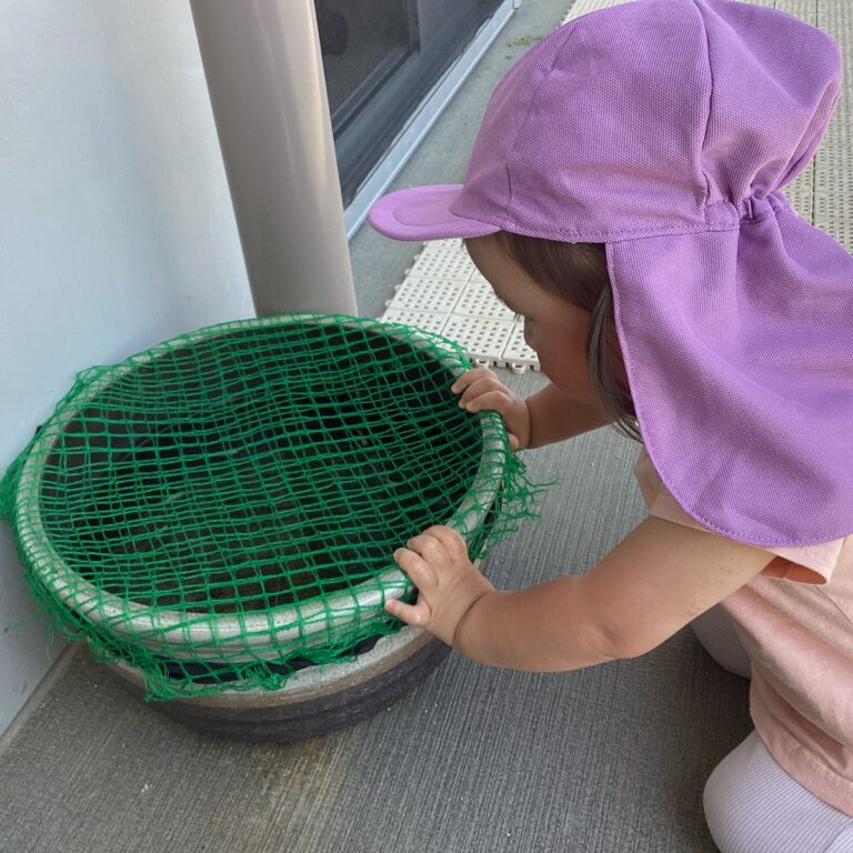 1歳児 だいちチーム 「小さい生き物みーつけた!」