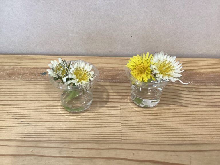 5歳児　「ぼくらは、くじら観察隊！！」