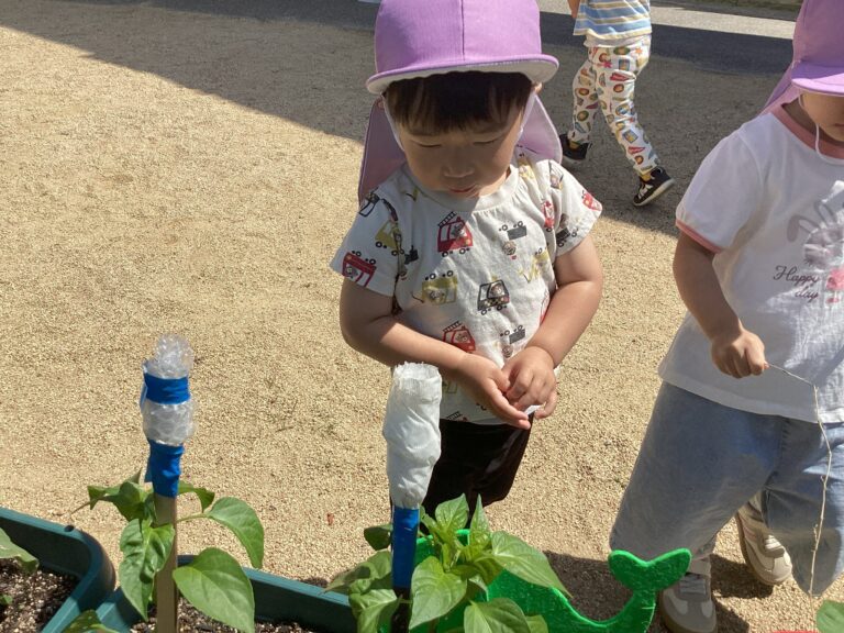 2歳児　あめチーム「秘密の野菜づくり♪」