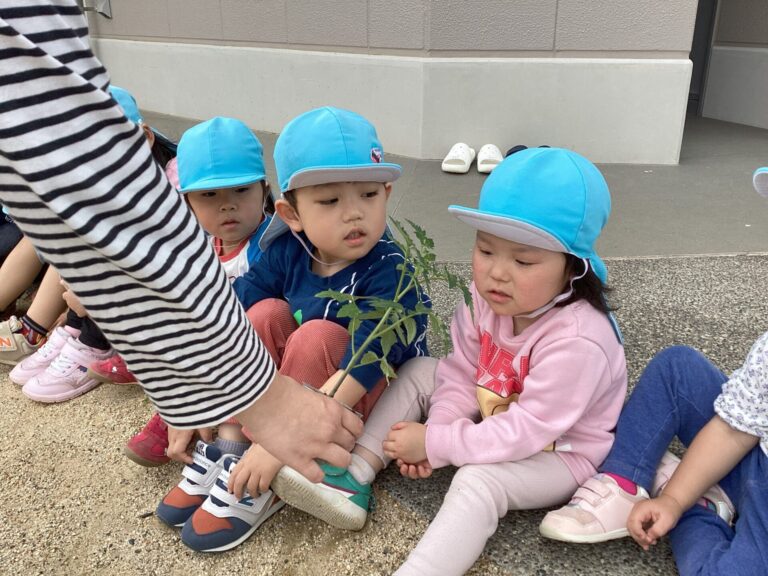 ３歳児　にじチーム　「おおきくなーれ！！」