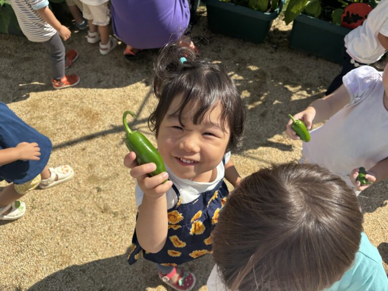 2歳児 あめチーム「秘密の野菜の正体は…?」