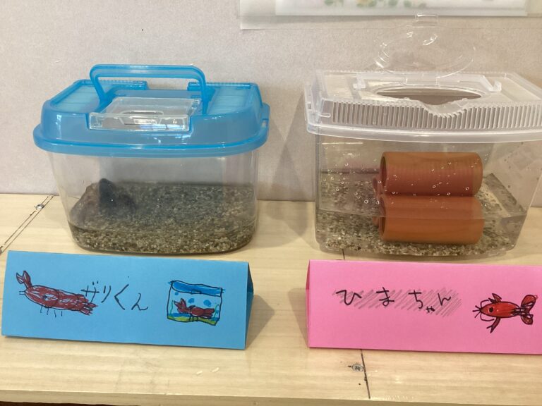 5歳児　くじらチーム「くじらチームへようこそ」