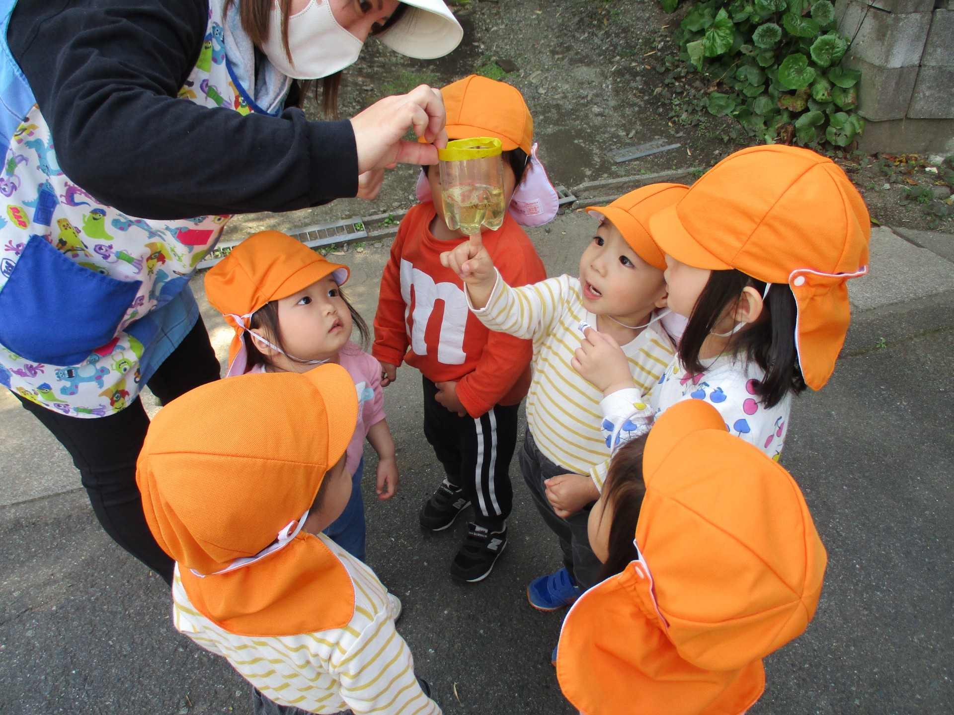 おもしろいことなんでもくじら級