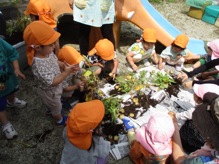 いもいもほりほり🥔