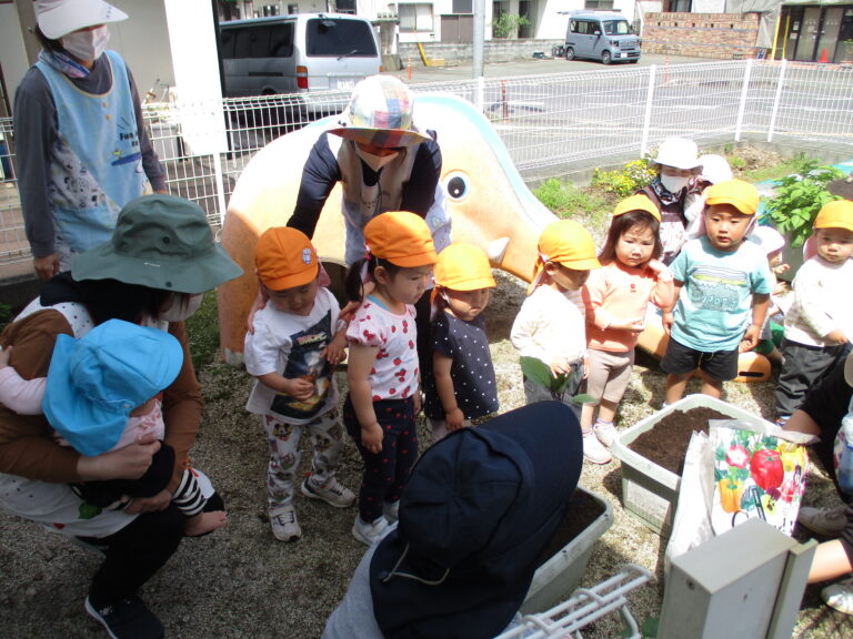 野菜の苗植え🥒🍆