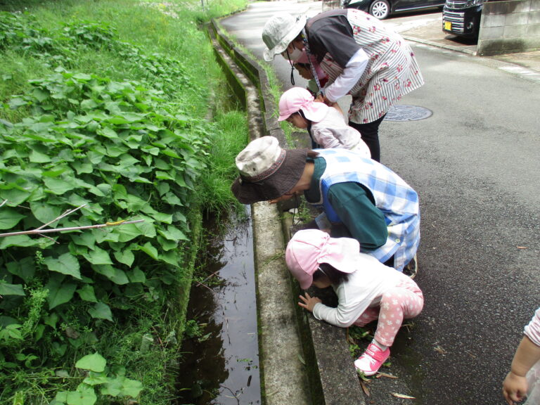 春を探そう！！