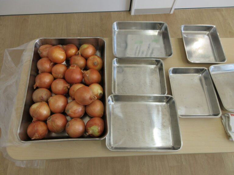 玉ねぎの皮むき（にじ組）