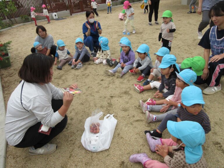チューリップの球根を植えたよ🌷