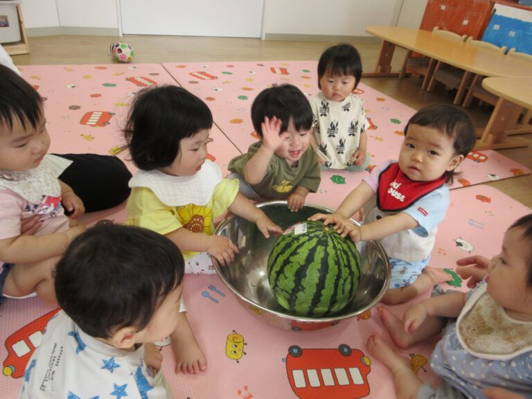 スイカ玉を触ったよ♪(０歳 うみ組)