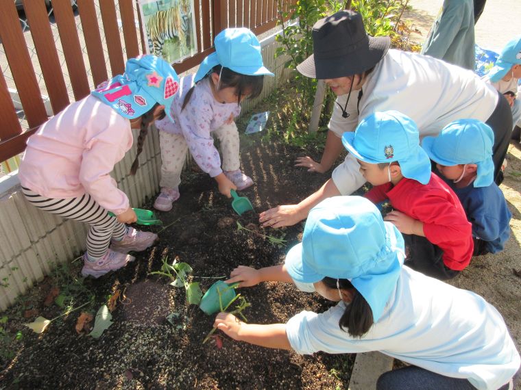 美園くじらこども園が大切にしていること