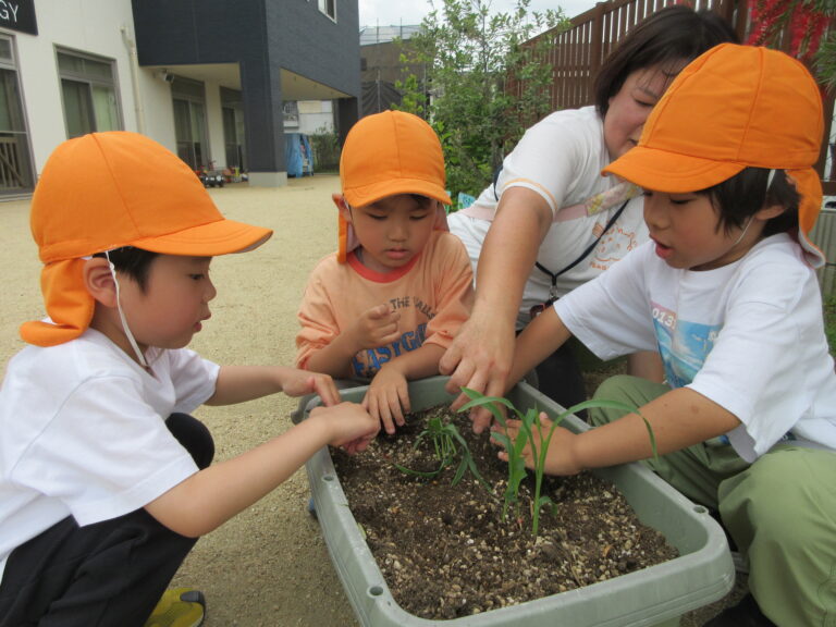 今年のスタメン夏野菜を発表！🫑（くじら組）