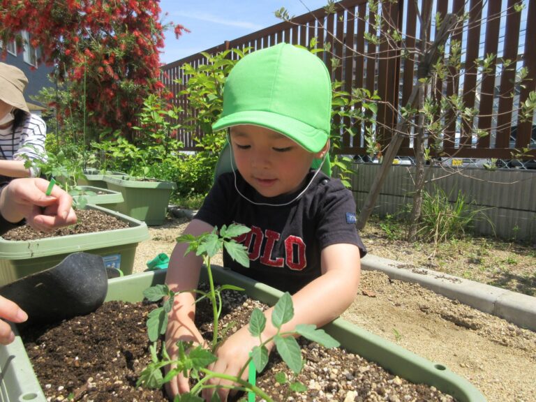 おおきくなあれ!トマトさん🍅✨(3歳 にじ組)