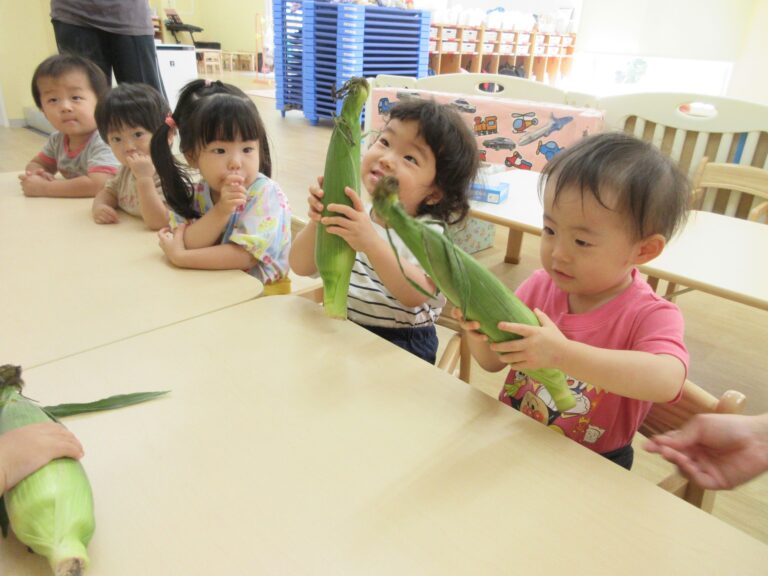 ♪とうもろこしこし♪🌽皮をむいたよ (1歳だいち組)