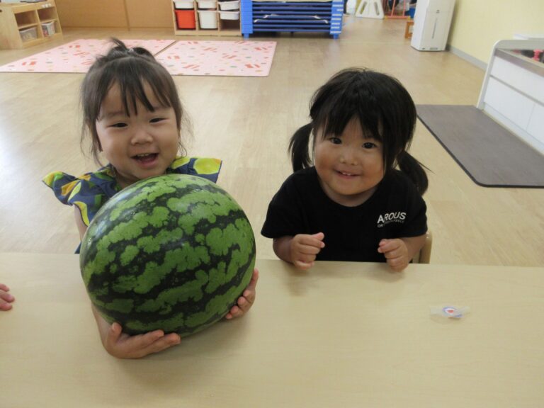 夏野菜を触ってみたよ🌽🍉(２歳　あめぐみ)