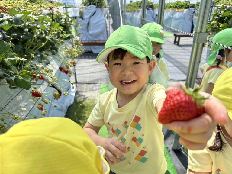 宮小路くじら保育園が大切にしていること